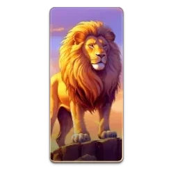Lion
Safari